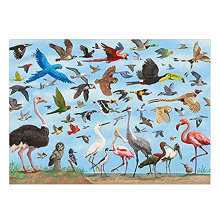 image of All The Birds Puzzle